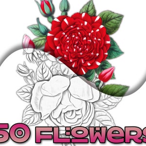 Download 20 Flower Coloring Pages Flower Coloring Book Adult Coloring Etsy