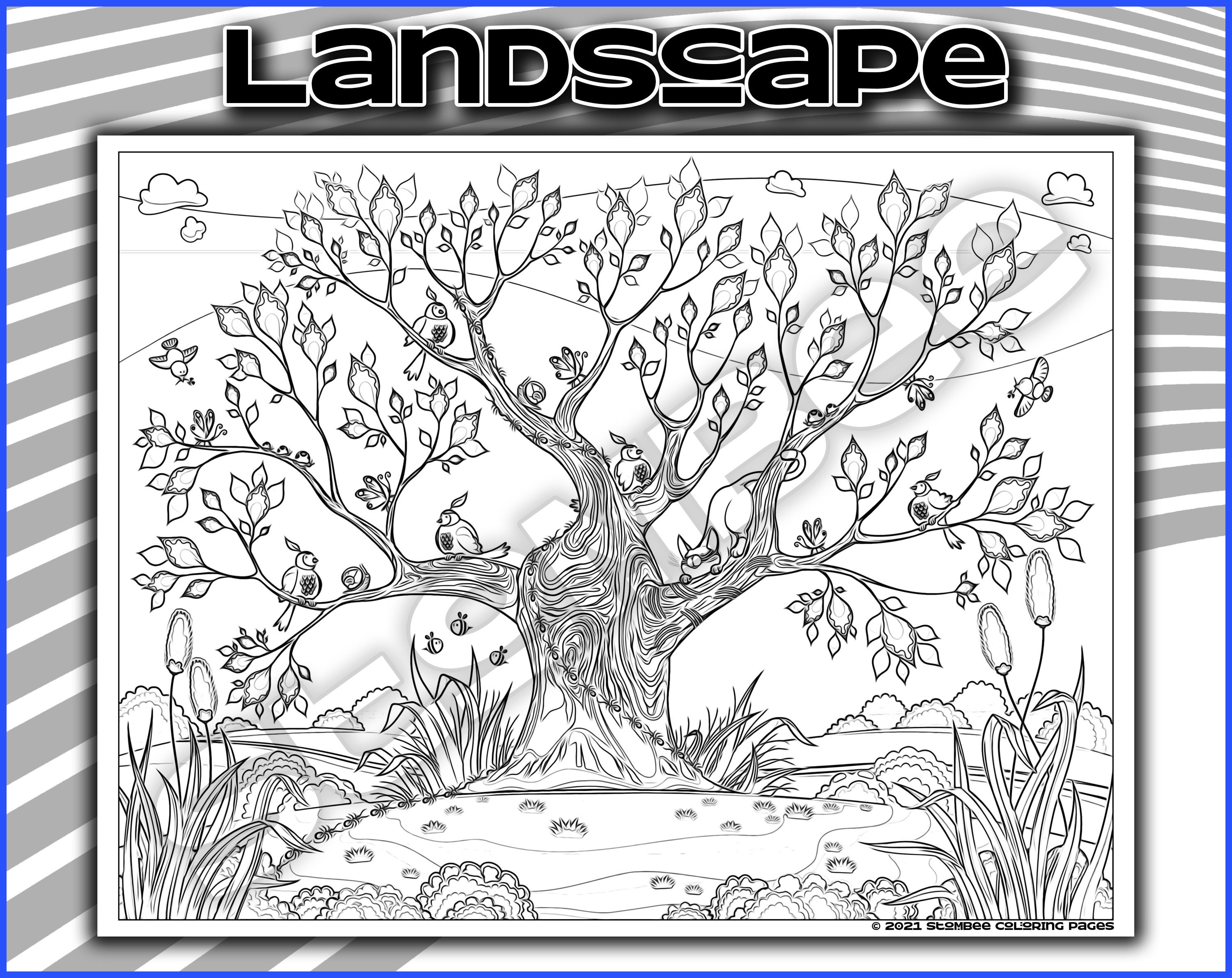  Elfew 2 Pack Landscape Coloring Book for Adult,Adult Coloring  Book Spiral Bound,80 Landscape Coloring Pages Designs of Natural  Landscape,Animal,Building,Adult Coloring Books for Anxiety and Depression :  Arts, Crafts & Sewing