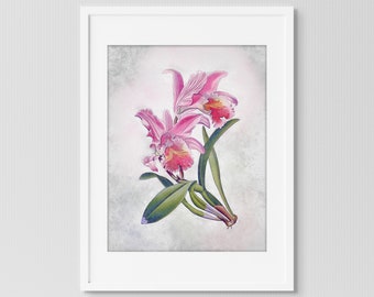 Botanical Printable Wall Art | Home Decor Large Wall Art of an Easter Orchid for Home, Office, Living Room, or Bedroom Decor