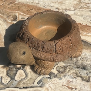 Puede incluir: Una maceta marrón con forma de tortuga, con un caparazón texturizado y una abertura redonda. La tortuga tiene una cabeza y patas detalladas, y la maceta está hecha de un material similar a la terracota. La maceta está diseñada para plantas pequeñas o suculentas.