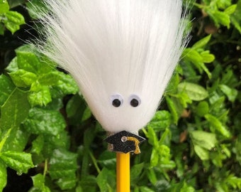 The Graduate * Fuzzy Pencil - Graduation Gift - Fun Pencil - Graduation Gift for Him - Graduation Gift for Her - Sensory Toy - School Gift