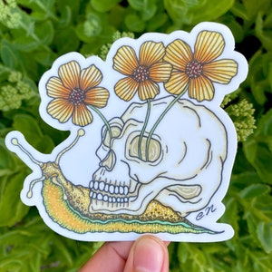 Skull Escargot Autocollant