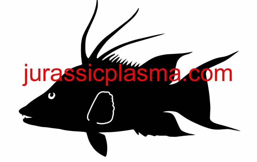 Hog fish dxf archivo svg para plasma, láser, vector de vinilo de chorro ...