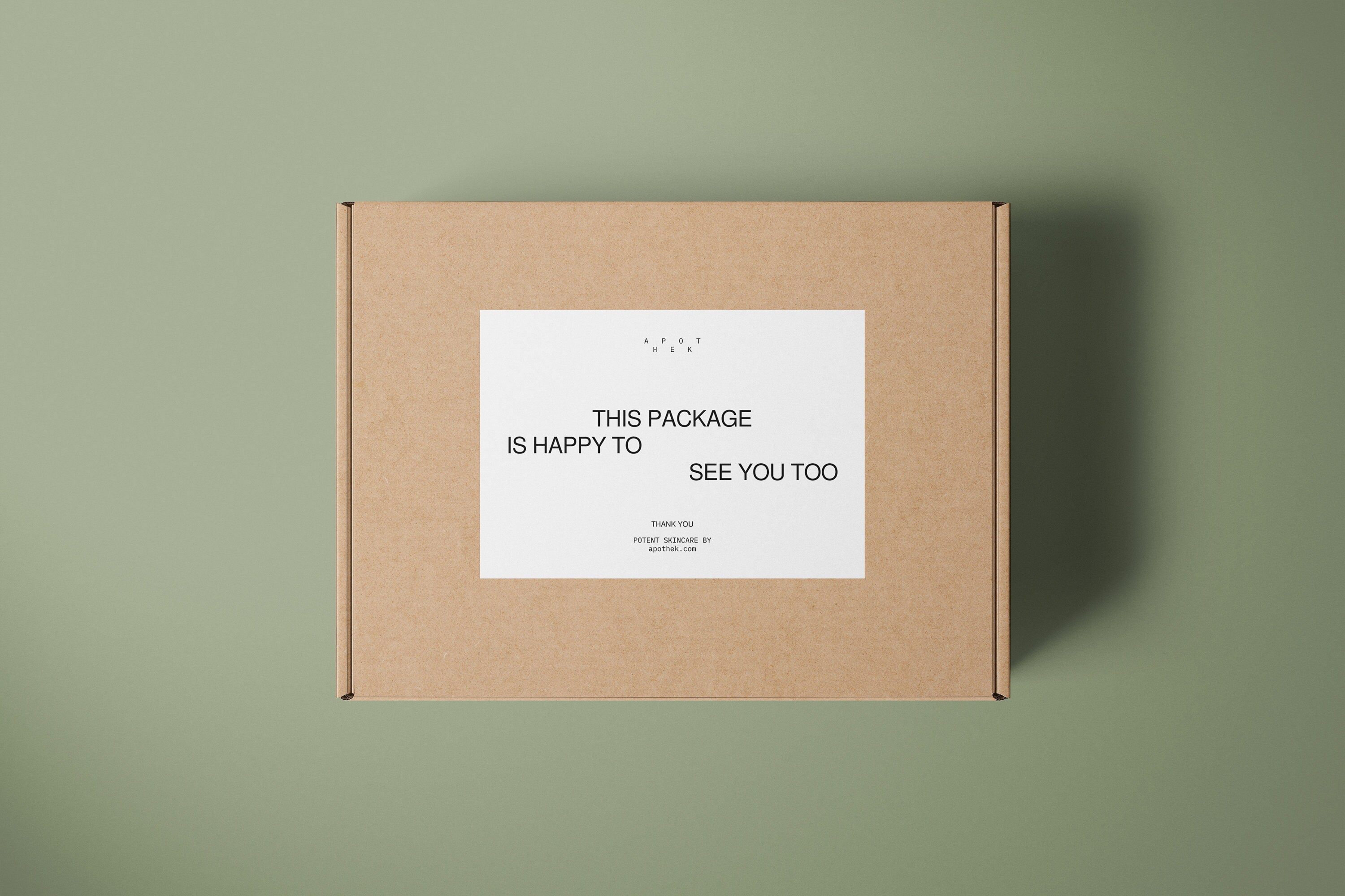 Package Mailing Label Template