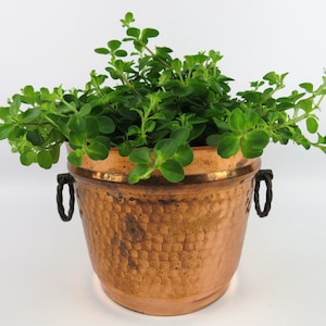 Vintage hammered copper bucket with wrought iron handles, French antique copper planter, Rustic kitchen decor, French country style