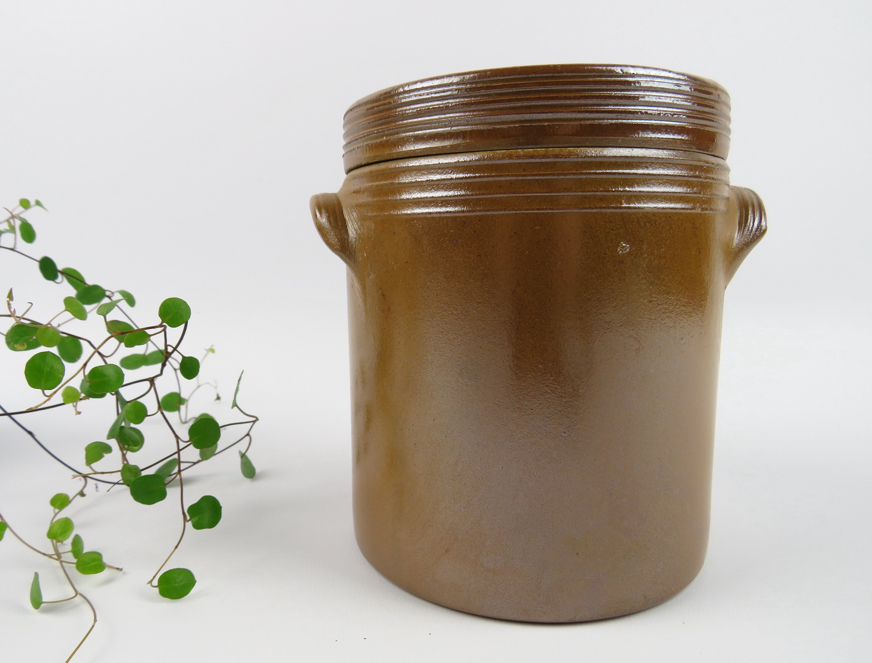 pot À Confit Avec Couvercle