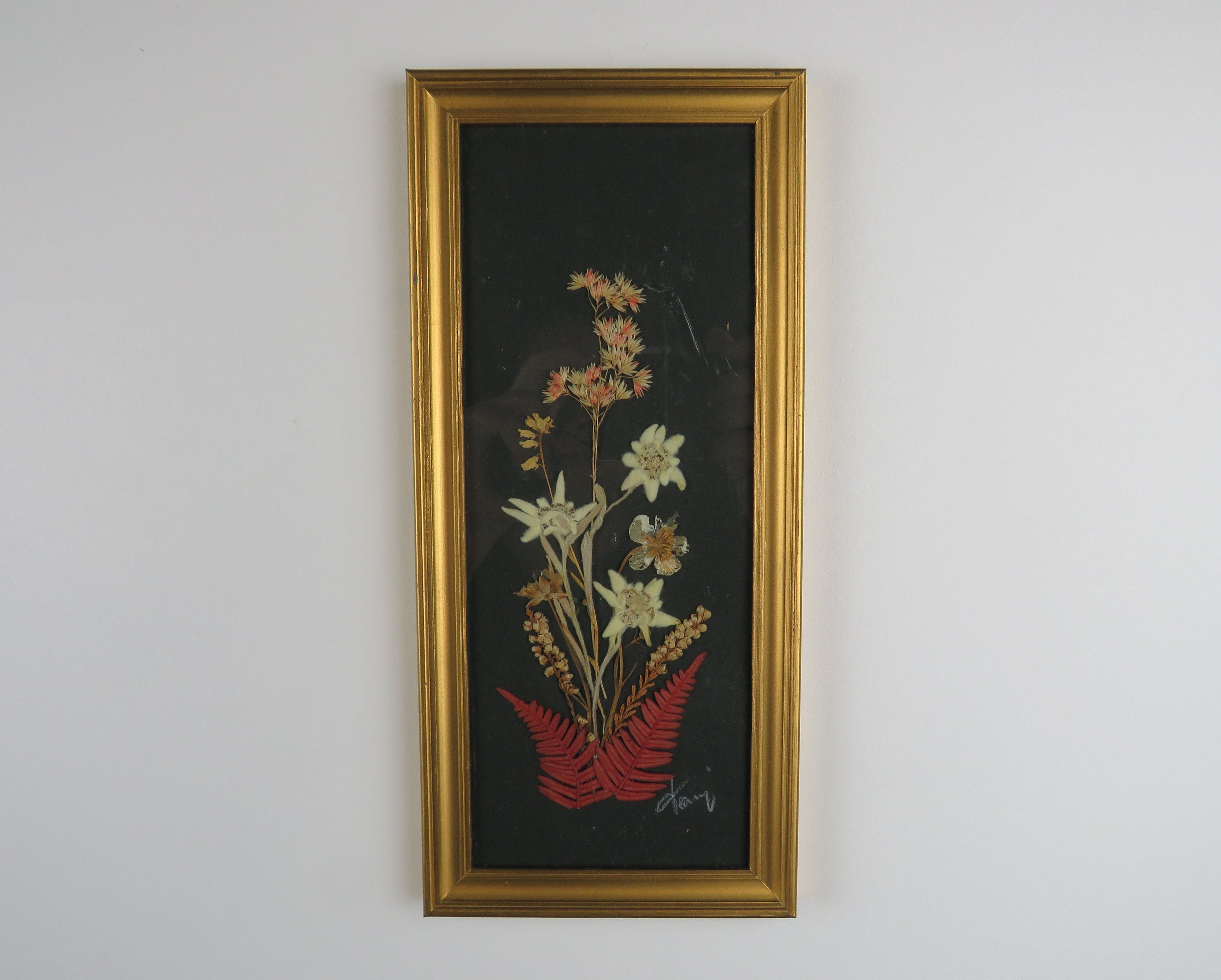 Herbier Encadré Vintage, Fleurs d'edelweiss Séchées Encadrées, Cadre Fleurs Séchées, Décor Mural Pre