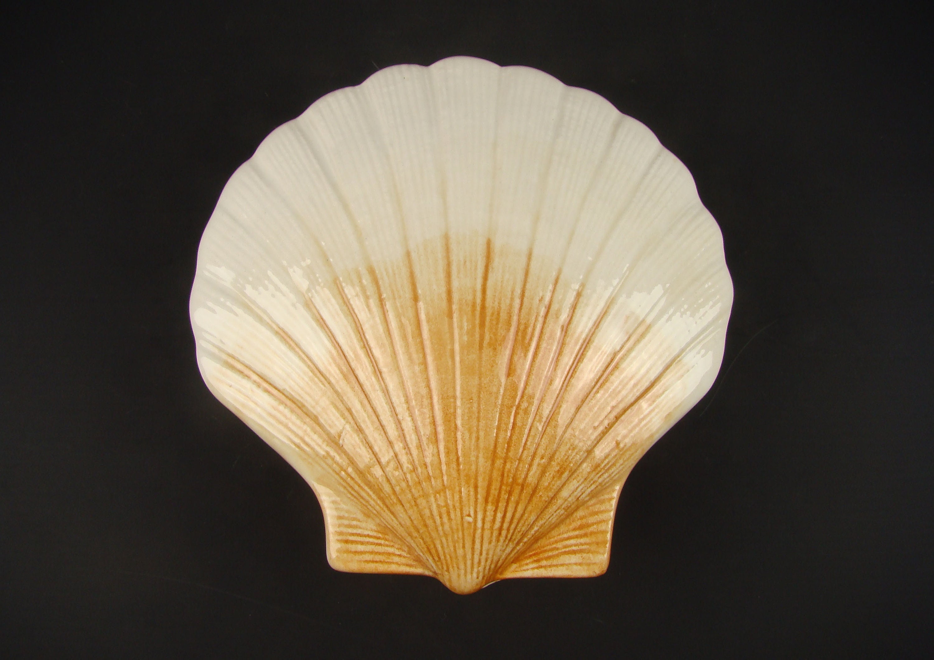 Terrine Michel Caugant Coquille Saint Jacques, Plat à Pâté en Forme de Coquillage, Pot Couvert Anima