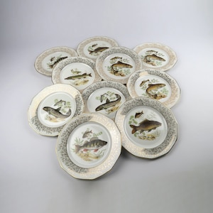 Set of 10 Vintage Limoges Fish Plates, Hand-Gilded Porcelain, Naturalist Freshwater Fish Decor, Fish dinner plates, France circa 1950