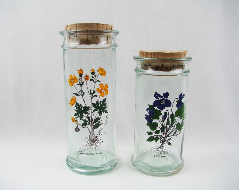 Glass Jars Old Apothecary Herbalist Herbalism Image 0