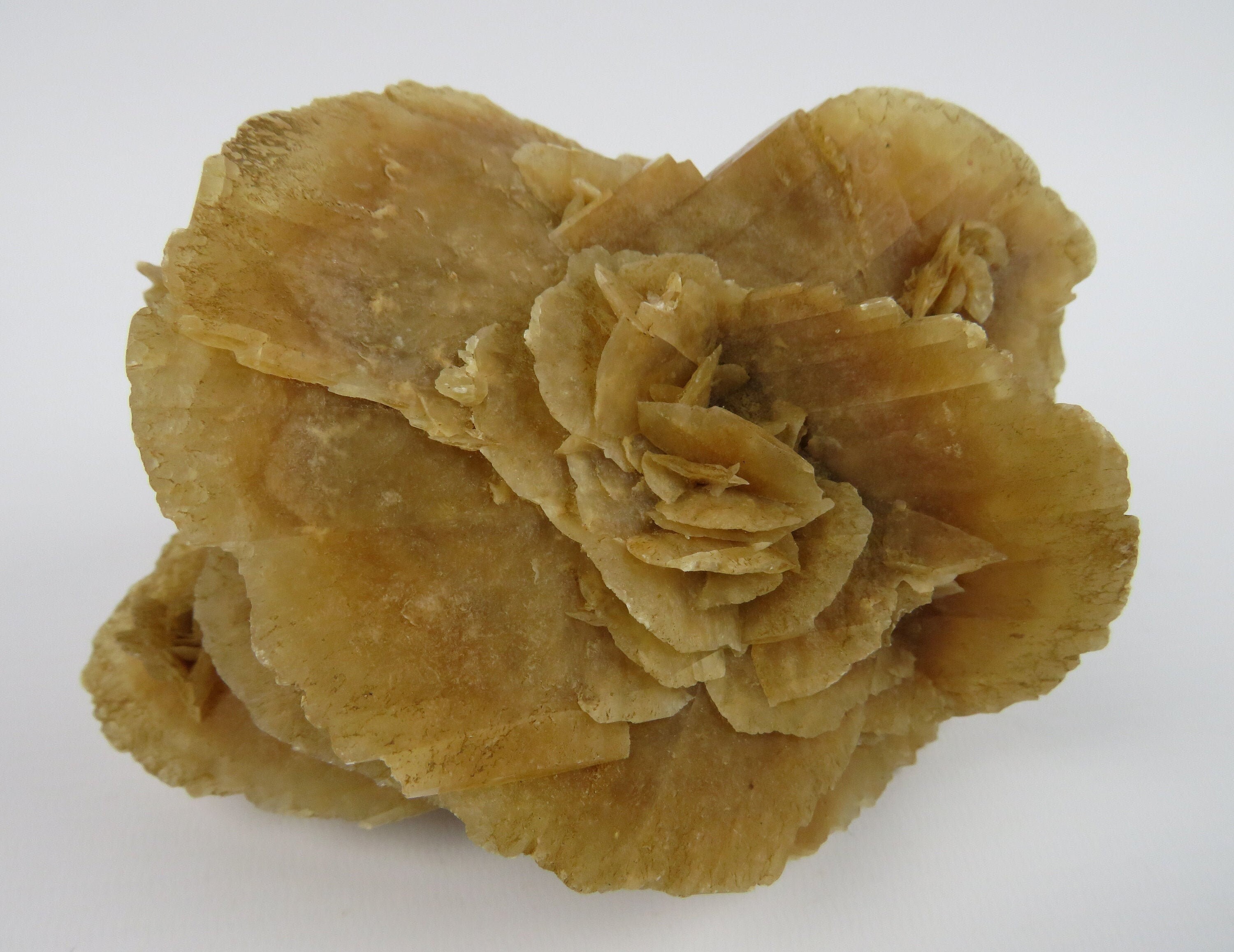 Rose Des Sables Du Désert, Sélénite Gypse Sahara, Cristal Pierre de Sable Cristaux, Porte-Bonheur, L