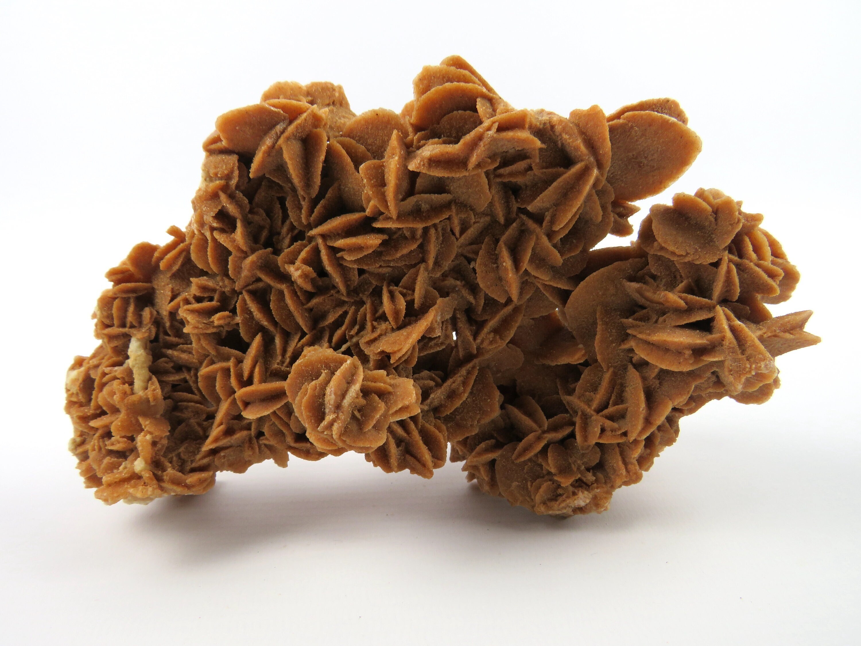 Rose Des Sables Du Désert, Sélénite Gypse Sahara, Cristal Pierre de Sable Cristaux, Porte-Bonheur, L