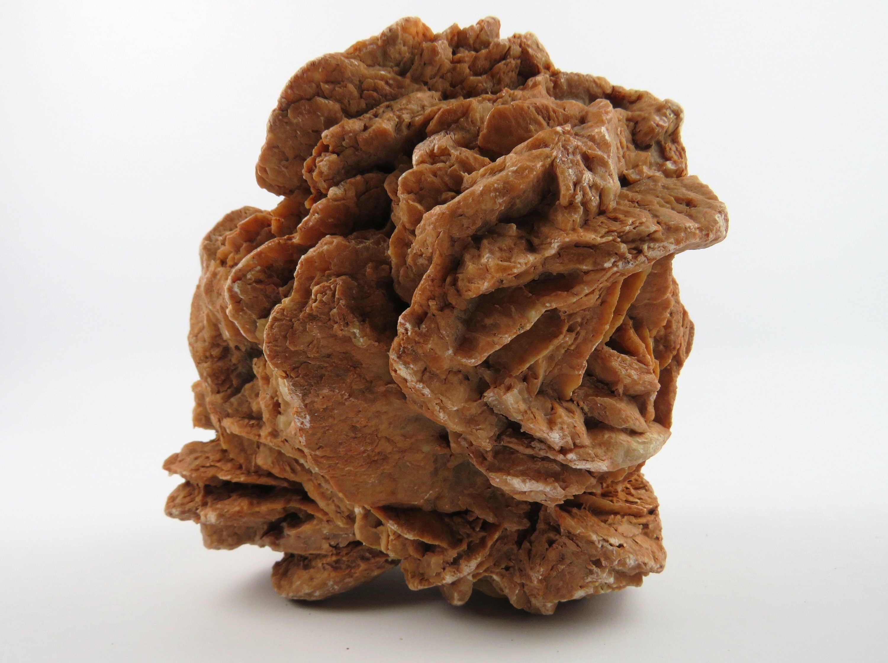 Grande Rose Des Sables Du Désert 2, 970 Kg, Sélénite Gypse Sahara, Cristal Désert, Pierre de Sable C