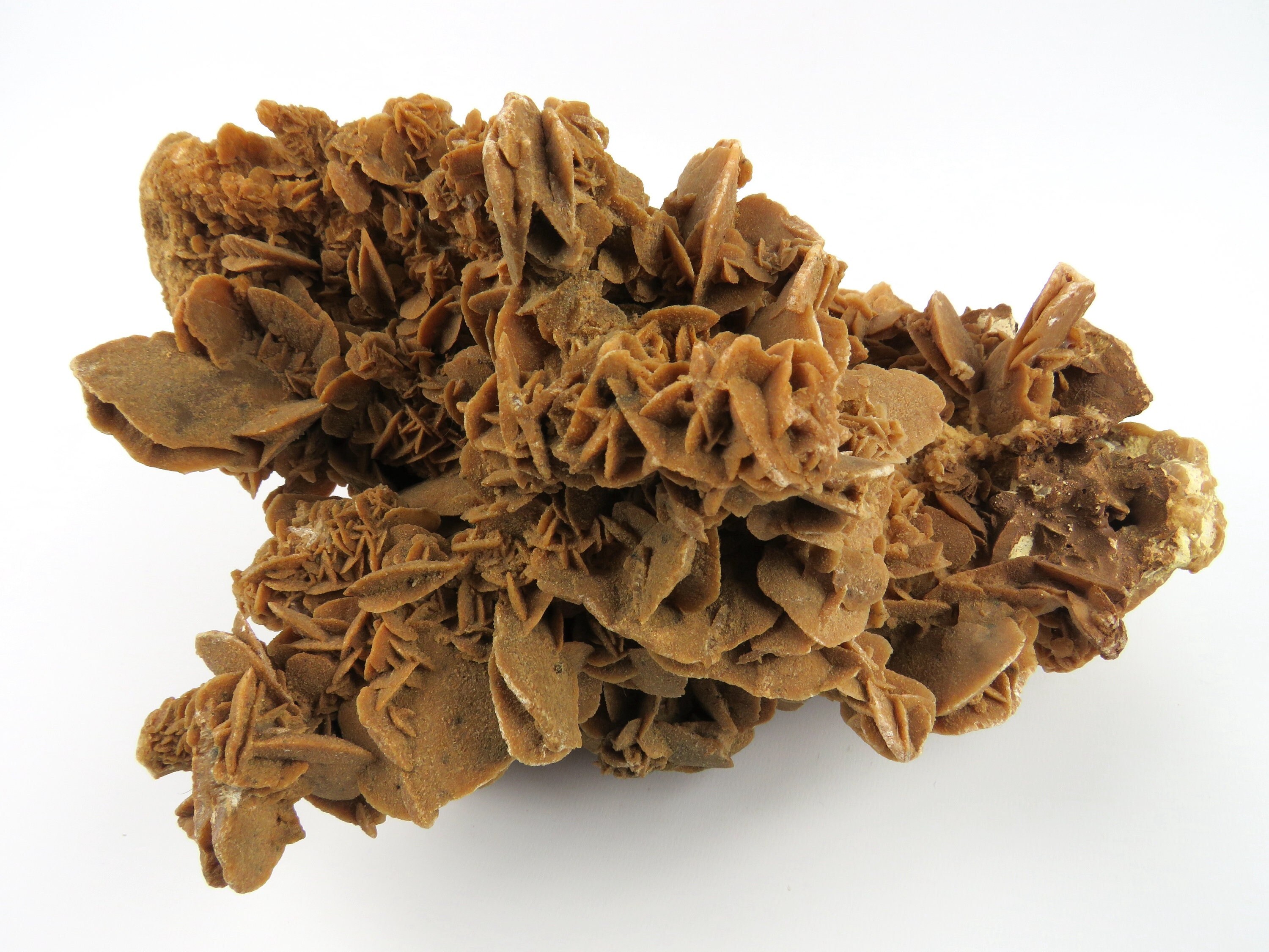 Énorme Rose Des Sables Du Désert 3, 700 Kg, Sélénite Gypse Sahara, Cristal Désert, Pierre de Sable C