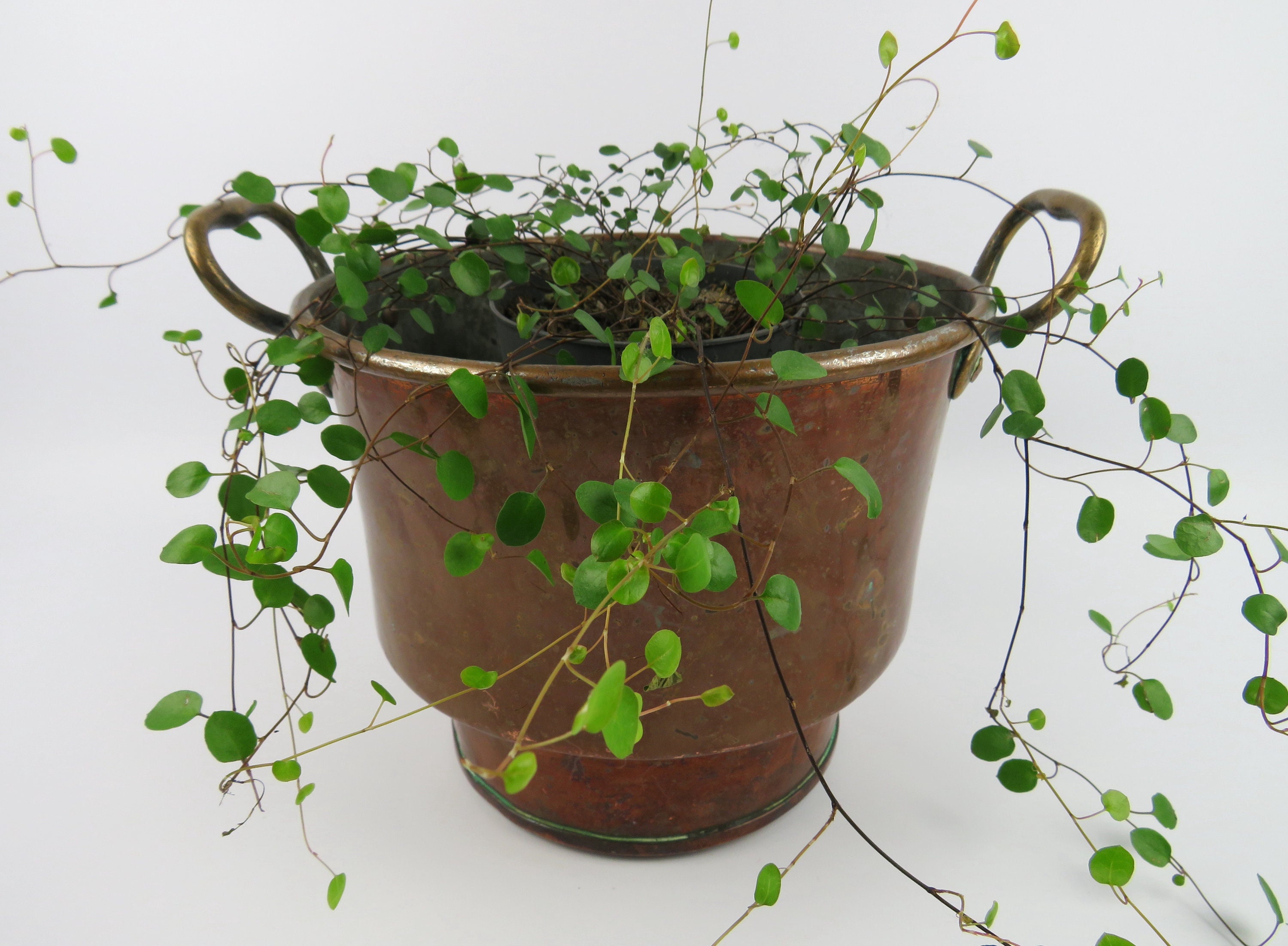 Chaudron en Cuivre et Laiton Vintage, Cache-Pot Rustique avec Anneaux, Jardinière d'intérieur Cuivre