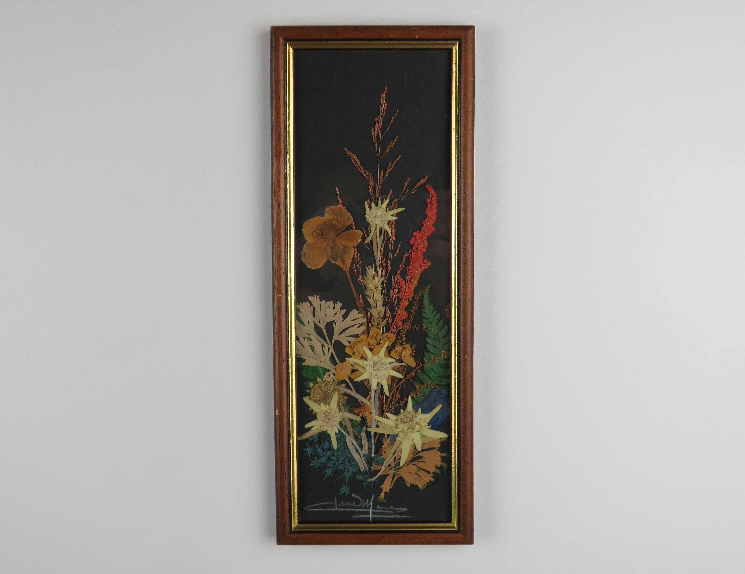 Herbier Encadré Vintage, Fleurs d'edelweiss Séchées Encadrées, Cadre Fleurs Séchées, Décor Mural Pre