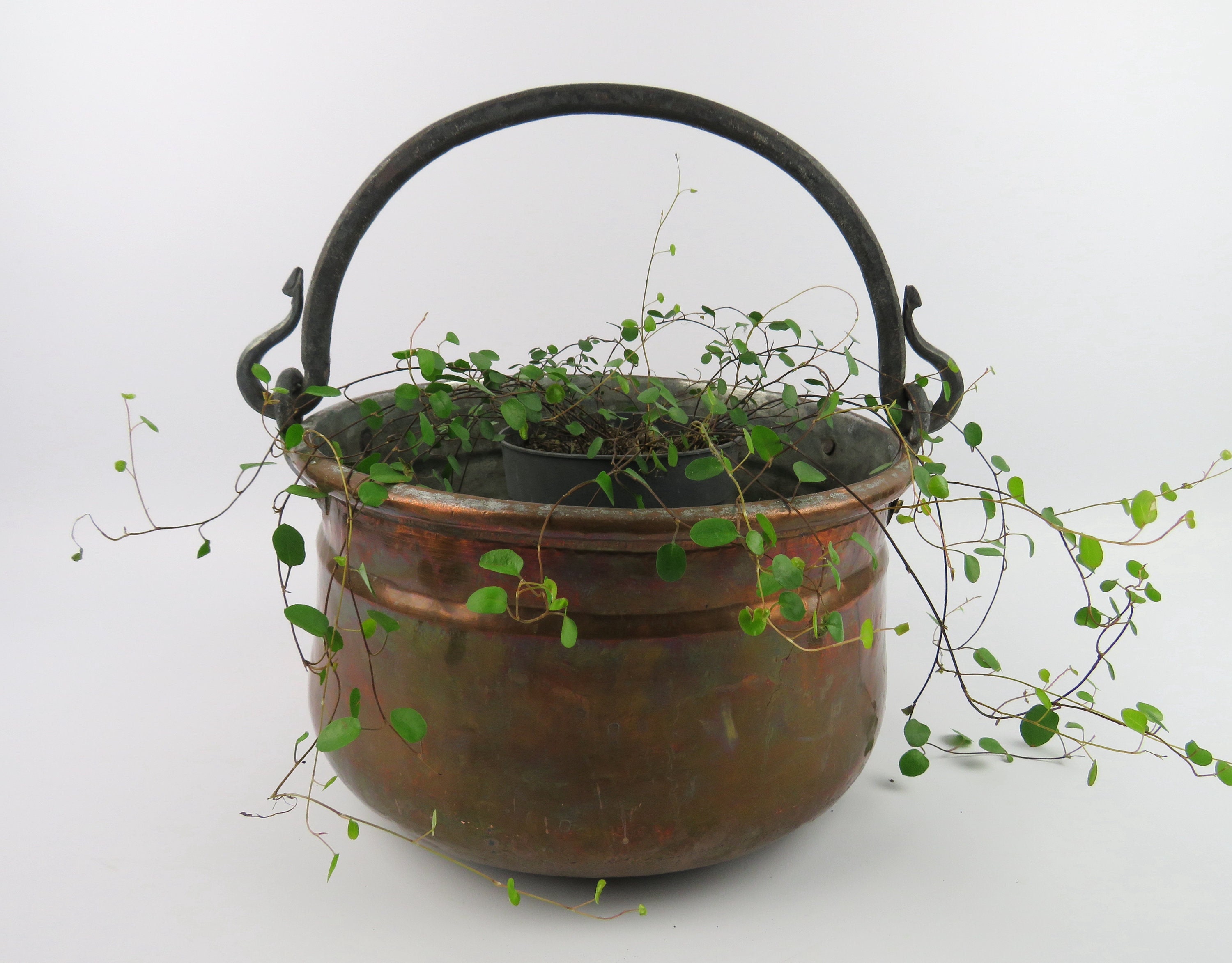 Grand Chaudron en Cuivre Anse Fer Forgé, Ancienne Marmite Suspendue Cuivre, Bouilloire de Cheminée à