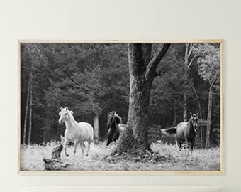 White and black horses running through trees. Horse Wall Art, Horse Photography, Black and White Photography; digital photo download