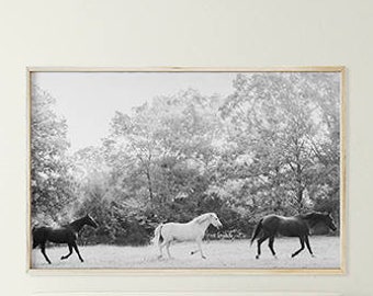 May include: A black and white photograph of three horses running through a forest. The horses are in a line, with the white horse in the middle. The photo is framed and hanging on a white wall above a gray bed with white pillows.