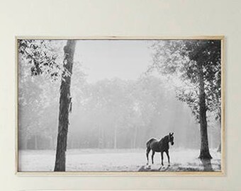 Black Horse Wall Art. Horse Photography, Black and White Photography; digital photo download