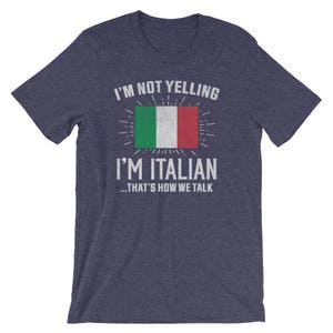 Jahrgang ich bin nicht schreien, ich bin Italienisch, das ist, wie wir sprechen T-Shirt, italienische Tshirt, lustige italienische Shirt, lustige italienische Geschenk, italienisch erdigen T-Shi Bild 3