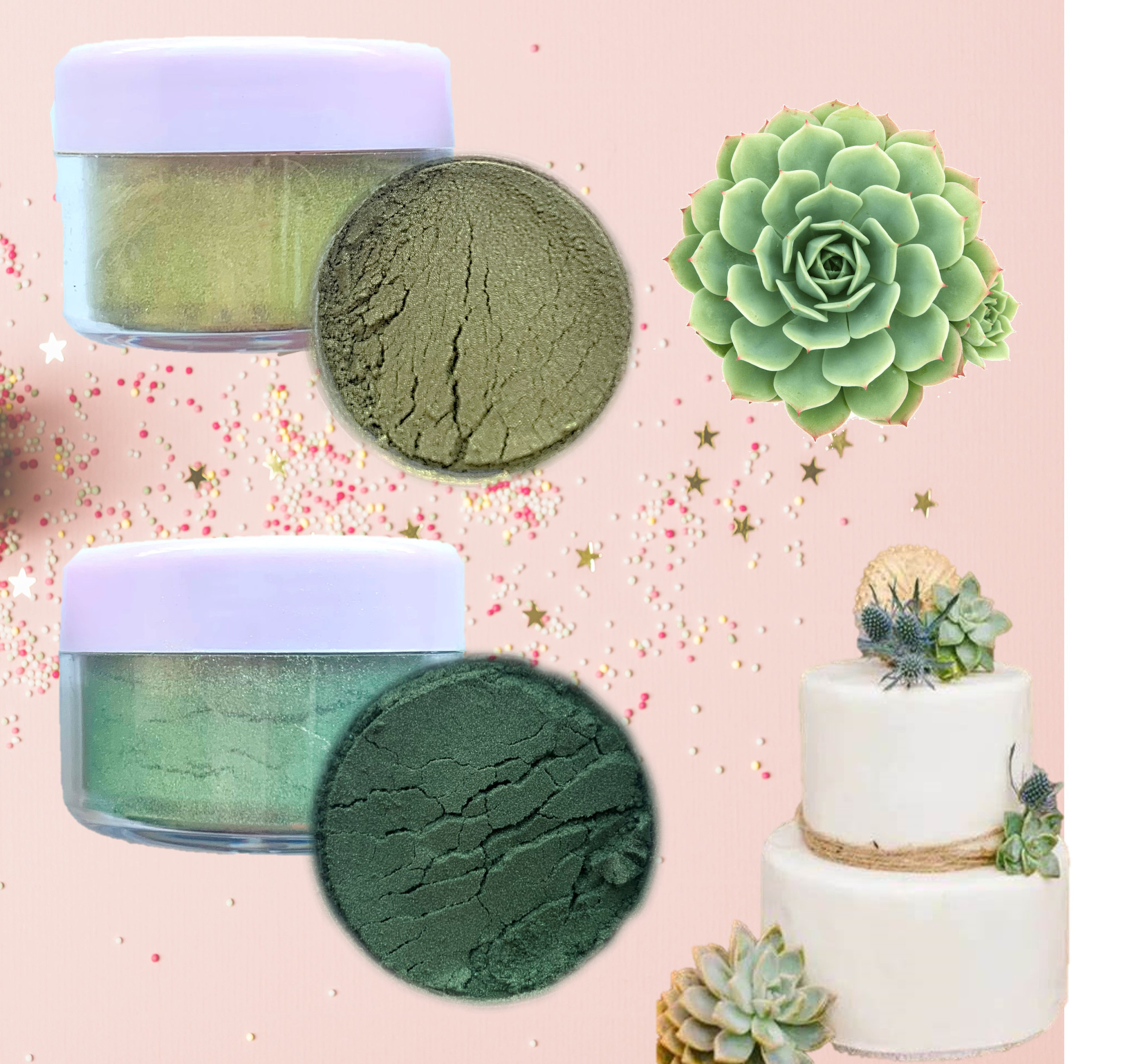 Edible luster dust Green leaves & Succulent for cake decoration, strawberry chocolate covered/ fondant powder coloring Paint food 2 PACK