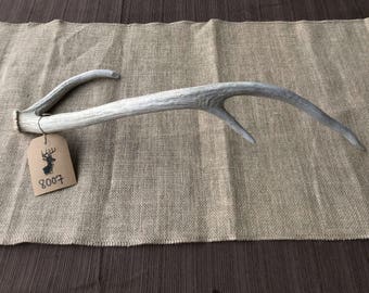 Axis Deer Antler Shed - Item #8007