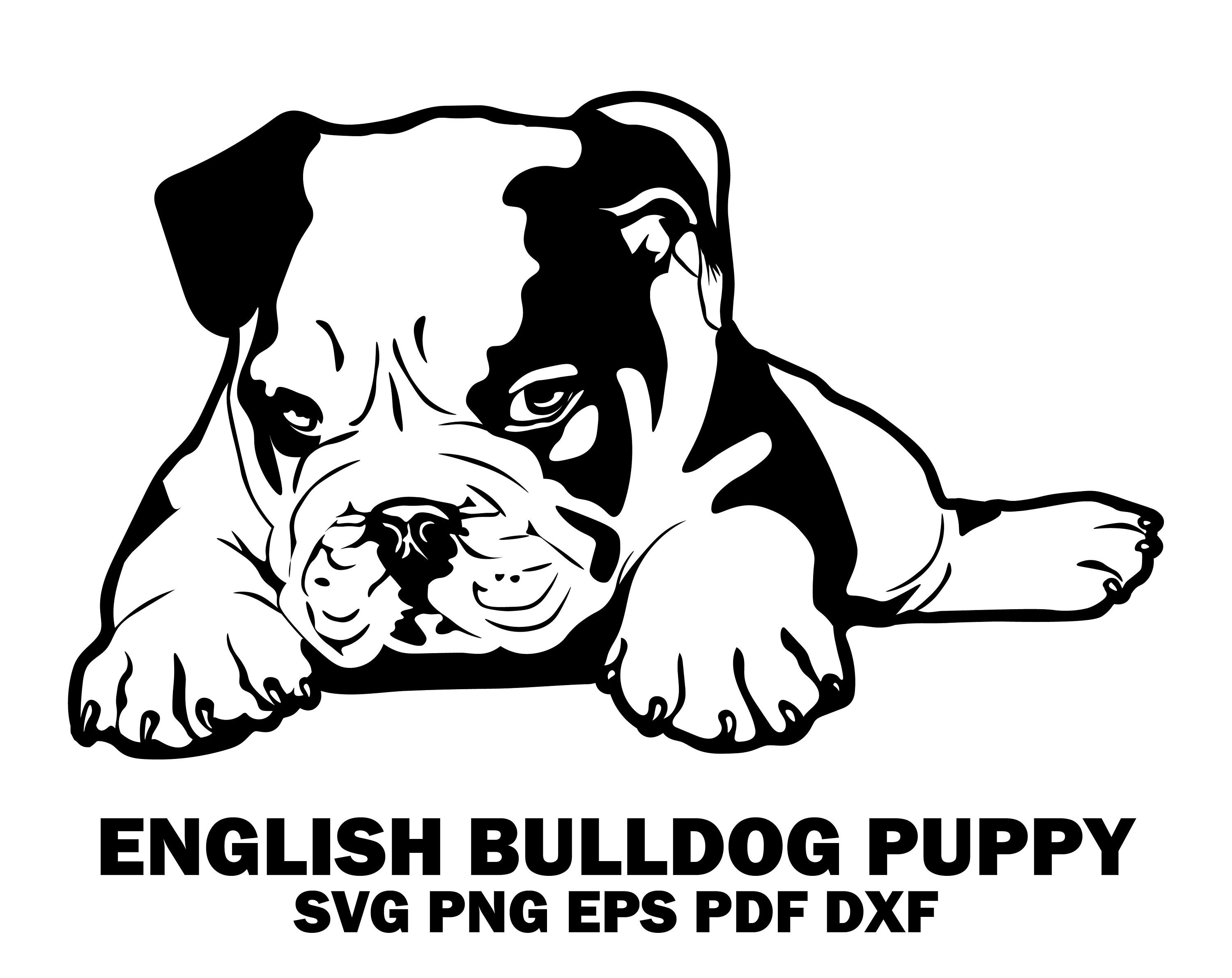 Art &amp; Collectibles Digital Drawing &amp; Illustration english bulldog svg png english bulldog