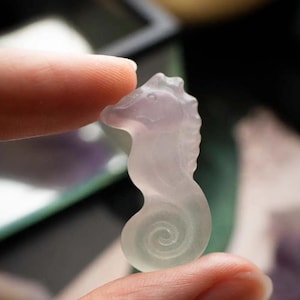 Peut inclure: Un hippocampe en cristal translucide de couleur violette. L'hippocampe mesure environ 5 cm de haut et présente un design détaillé.