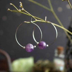 Natural amethyst earrings - silver hoops - Columbine