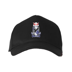 505th Parachute Infantry Regiment  Embroidered Baseball Cap-10884
