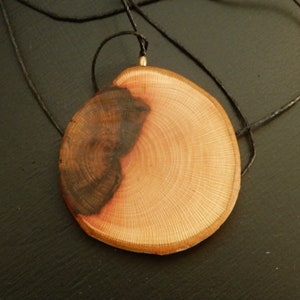 Oriental plane wood pendant