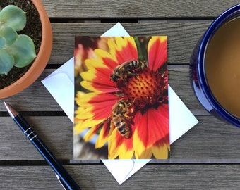 Greeting Card - Two Bees