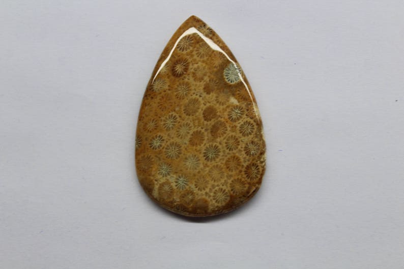 Fossil Coral Cabochon...Pear Gemstone Jewelry Making Stone Hand Made Designer pattern Smooth Polished Fossil Pear 112 Ct 60 X 38 mm B#331