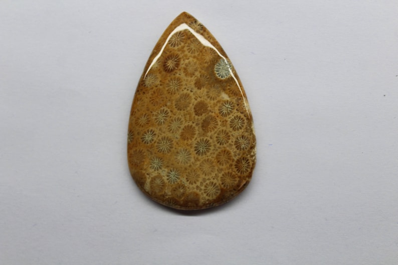 Fossil Coral Cabochon...Pear Gemstone Jewelry Making Stone Hand Made Designer pattern Smooth Polished Fossil Pear 112 Ct 60 X 38 mm B#331