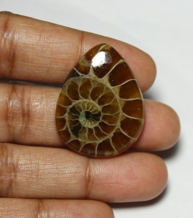 Top rare mm#898 Ammonite Fossil cabochon 30X23 Ammonite gemstone Ammonite loose stone37ct Natural Rainbow shine Ammonite loose gemstone