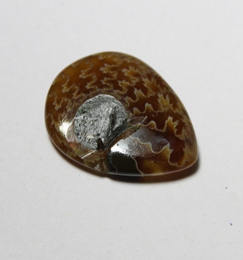 Top rare mm#898 Ammonite Fossil cabochon 30X23 Ammonite gemstone Ammonite loose stone37ct Natural Rainbow shine Ammonite loose gemstone