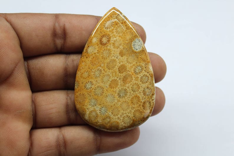 Fossil Coral Cabochon...Pear Gemstone Jewelry Making Stone Hand Made Designer pattern Smooth Polished Fossil Pear 112 Ct 60 X 38 mm B#331