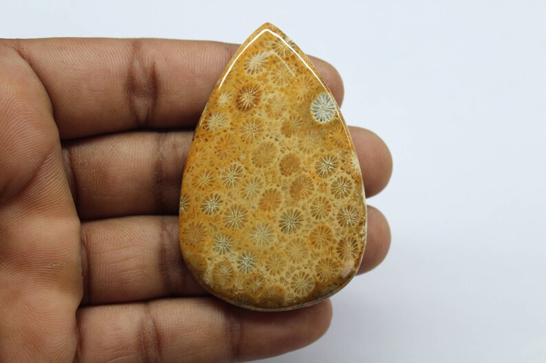 Fossil Coral Cabochon...Pear Gemstone Jewelry Making Stone Hand Made Designer pattern Smooth Polished Fossil Pear 112 Ct 60 X 38 mm B#331