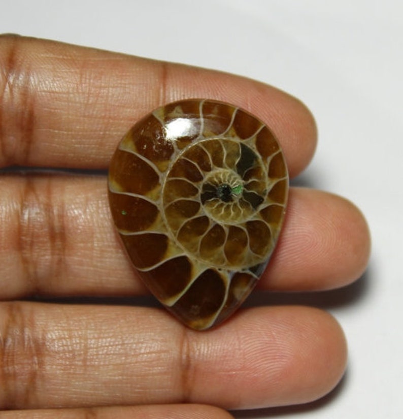Top rare mm#898 Ammonite Fossil cabochon 30X23 Ammonite gemstone Ammonite loose stone37ct Natural Rainbow shine Ammonite loose gemstone