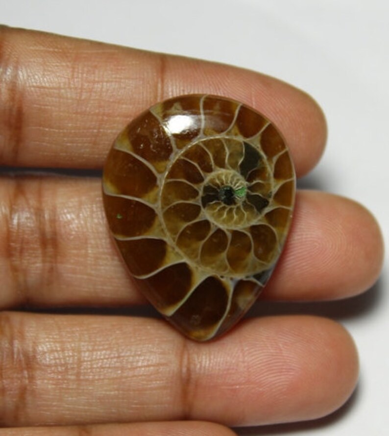 Top rare mm#898 Ammonite Fossil cabochon 30X23 Ammonite gemstone Ammonite loose stone37ct Natural Rainbow shine Ammonite loose gemstone