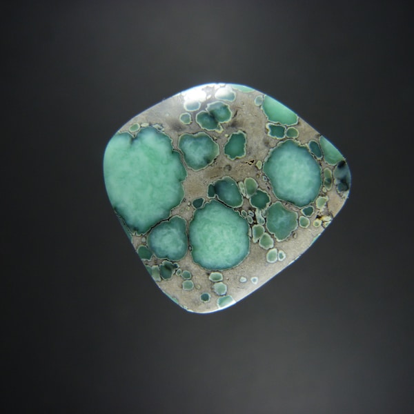 Desert Bloom Variscite Cabochon Etsy