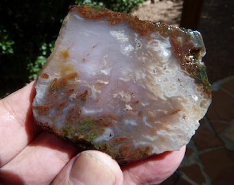 Bull Canyon Moss / Tube Agate Slab
