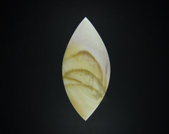 Willow Creek Jasper Cabochon