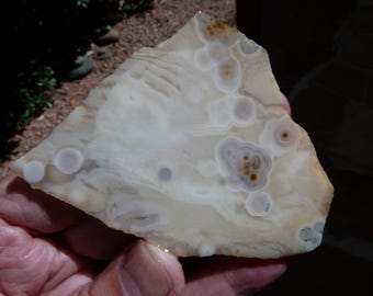 Ocean Jasper Slab