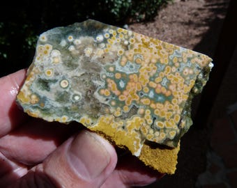 Ocean Jasper Slab