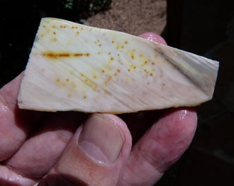 Willow Creek Jasper Slan
