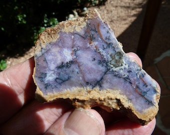 Burro Creek Agate Slab