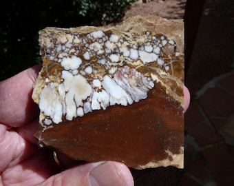 Wild Horse Slab