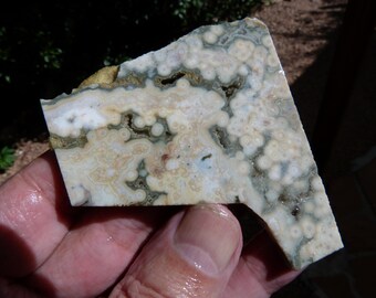 Ocean Jasper Slab